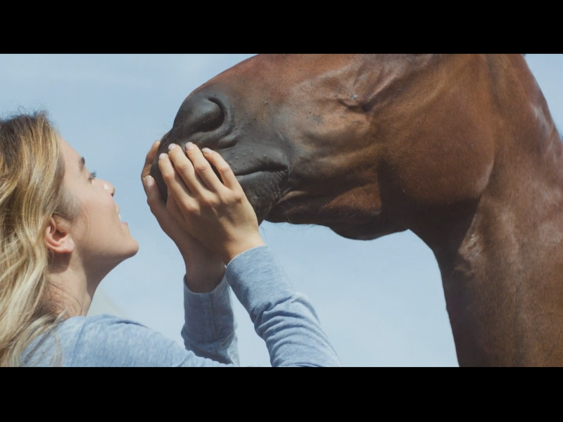 Foto 19 de Inseparáveis