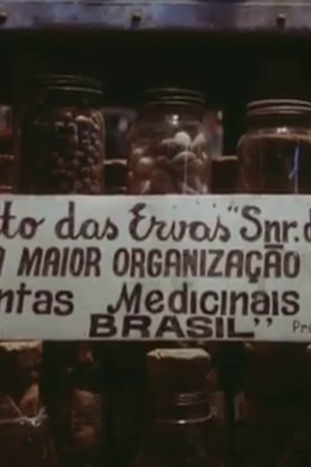 Poster de Filme Ponto das Ervas (1978)