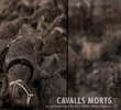 Cavalls morts