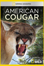 Puma Americano (American Cougar)