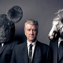 Foto de perfil de Vitória Trigo