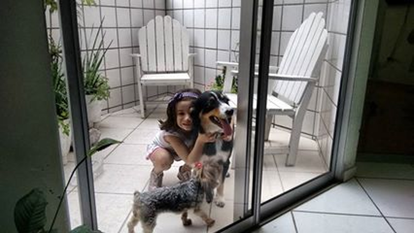 Deise - Foto 2