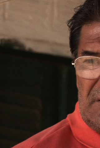 Poster 2 de Filme Álbum de Família (2010)