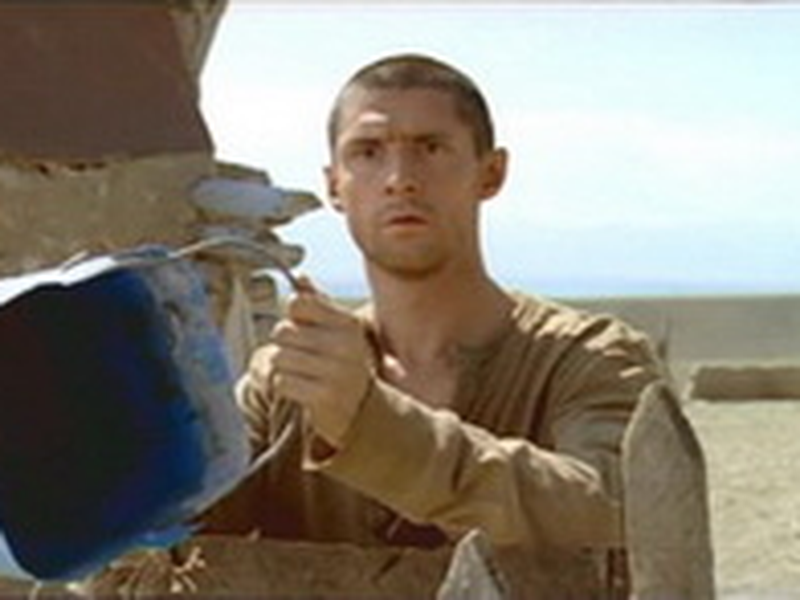 Foto 4 de Dikoe pole    ( Wild Field )