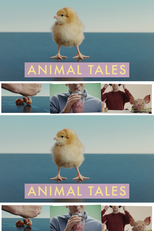 Animal Tales (Animal Tales)