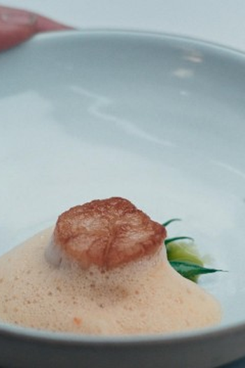 Poster de Episódio Scallop (2025)