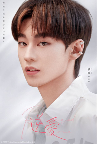 Poster 8 de Série Revenged Love (2025)