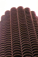 The Plant (The Plant)