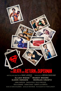 The Death and Return of Superman - Poster / Capa / Cartaz - Oficial 1