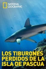 Os Tubarões da Ilha de Páscoa (Lost Sharks of Easter Island)