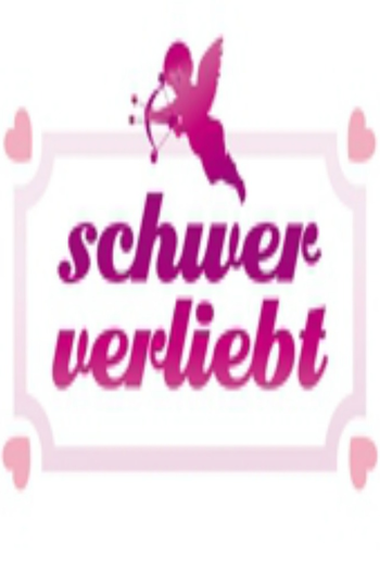 Poster de Franquia Schwer verliebt (2011)