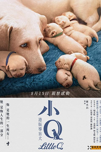  de Filme Eternos Companheiros (2019)