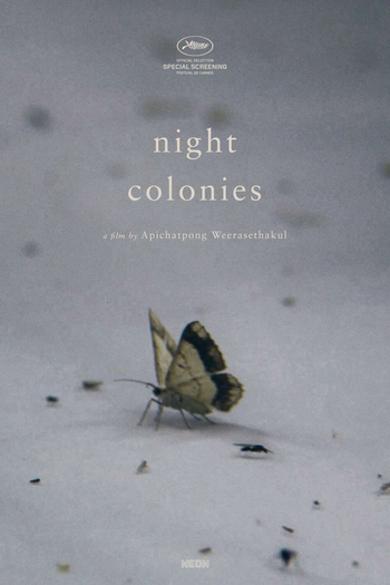 Poster de Curta Night Colonies (2021)