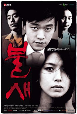 Poster 1 de Série Phoenix (2004)