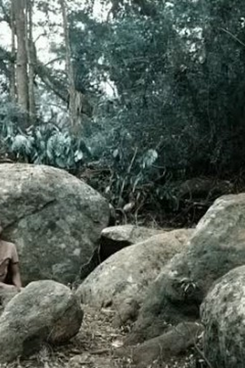 Poster de Episódio Episódio 11 (2017)