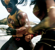 Mulher Maravilha vs Wolverine