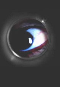 O Olho Mágico (O Olho Mágico)