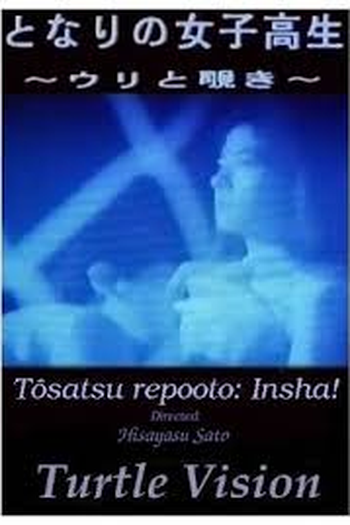 Poster de Filme Turtle Vision (1991)