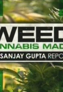 WEED 2 - Cannabis Madness (WEED 2 - Cannabis Madness)