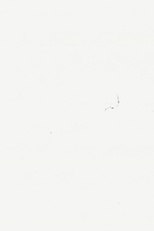 Entr’acte / Interlude (Entr'acte / Interlude)