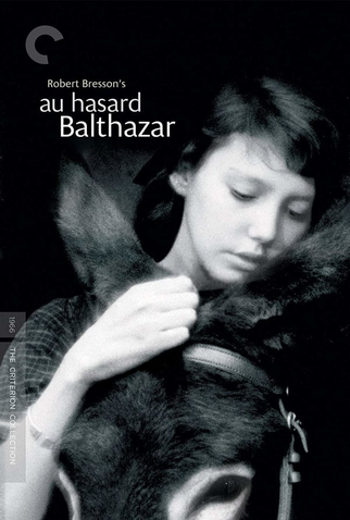 Poster 2 de Filme A Grande Testemunha (1966)