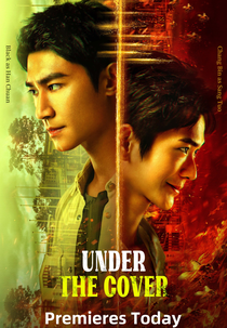 Under The Cover (反诈·猎蜂者)