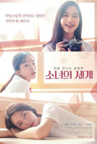 Poster 1 de Filme Descobertas do Amor (2018)