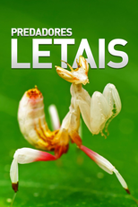 Predadores Letais (Predadores Letais)