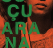Suçuarana