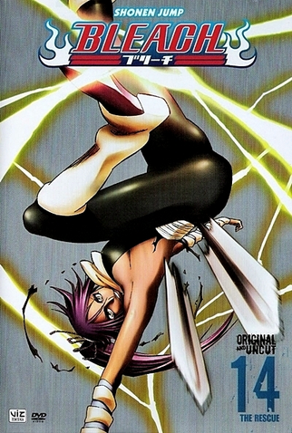 Poster 5 de Série Bleach (14ª Temporada) (2010)