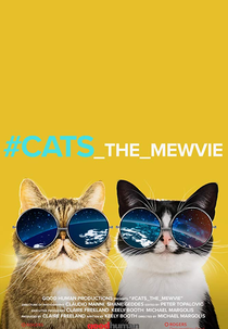 Miau Sucesso (#cats_the_mewvie)