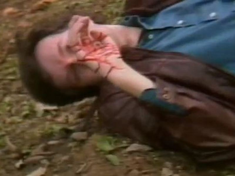 Foto 2 de Savage Vengance