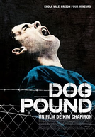 O Canil (Dog Pound)