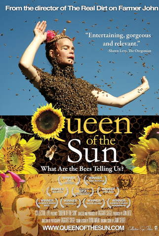 Poster 1 de Filme Rainha do sol (2010)