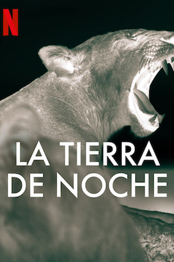  de Série A Terra à Noite (2020)