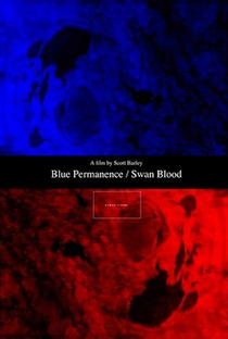 Blue Permanence / Swan Blood - Poster / Capa / Cartaz - Oficial 1