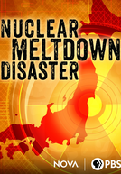 Nuclear Meltdown Disaster
