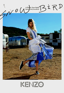 Snowbird  (Snowbird)