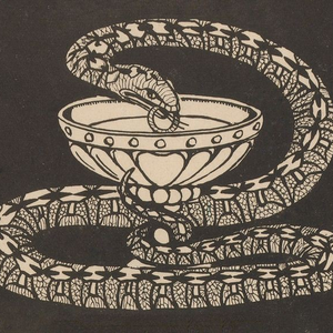 Foto de perfil de Ivan Marconato Rizzolo