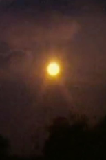 Round Trip (Round Trip)