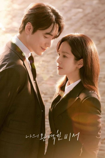 Poster de Franquia 나의 완벽한 비서 (2025)