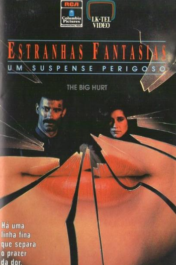 Poster de Filme Estranhas Fantasias (1988)