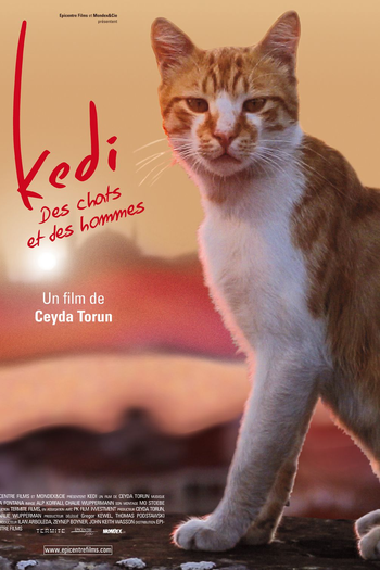  de Filme Gatos (2016)