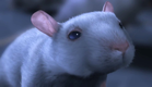 CGI 3D Animated Short HD: "One Rat Short Film" by CHRLX and Alex Weil