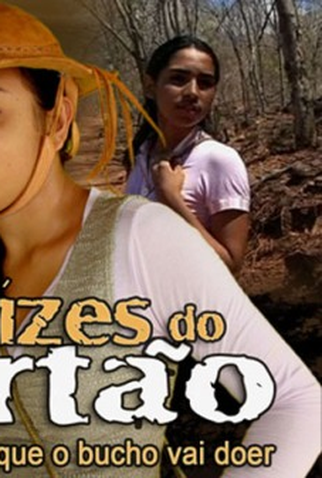 Poster 1 de Filme Raízes do Sertão (2011)