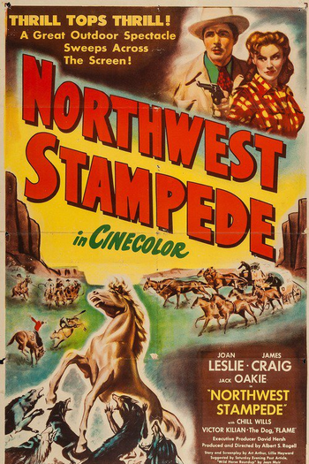 Poster de Filme Força Contra Astúcia (1948)