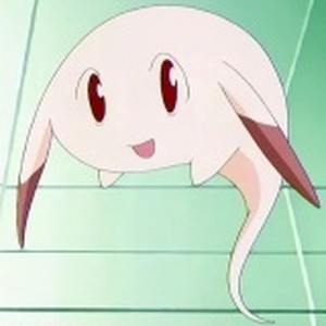 Foto de perfil de Angeli