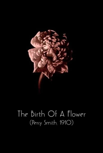 The Birth of a Flower - Poster / Capa / Cartaz - Oficial 1