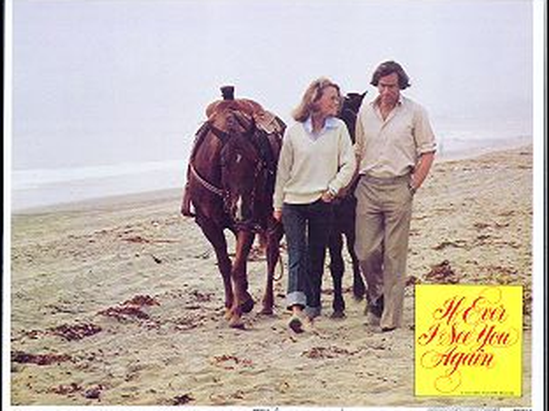 Foto 5 de If Ever I See You Again