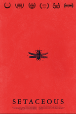 Setaceous (Setaceous)